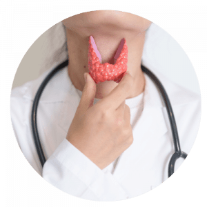 Hashimoto Autoimmun Thyreoditis Ratgeber