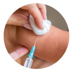 TH1 TH2 Laborbestimmung Hashimoto