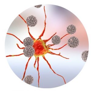 Hashimoto Immunsystem Therapie