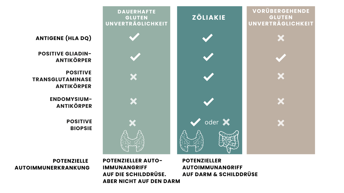 Diagnose Glutenintoleranz und Zöliakie Diagnose Zöliakie
