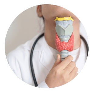 schilddrüsen unterfunktion symptome