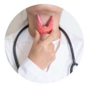 Hashimoto-Thyreoditis Schilddrüse Unterfunktion