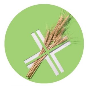 Diagnose Glutenintoleranz und Zöliakie Hashimoto-Zöliakie Glutenunvertraeglichkeit